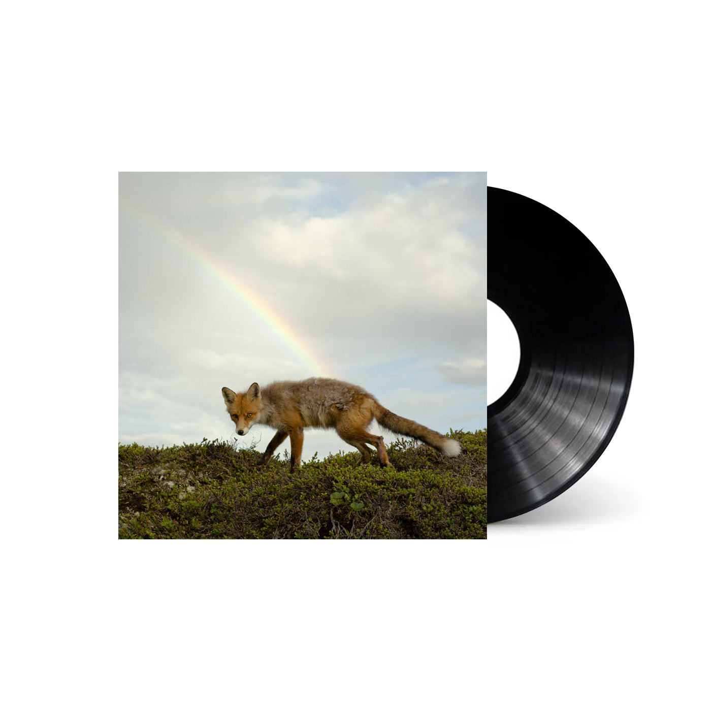 Buck Meek - Buck Meek (Black Vinyl)