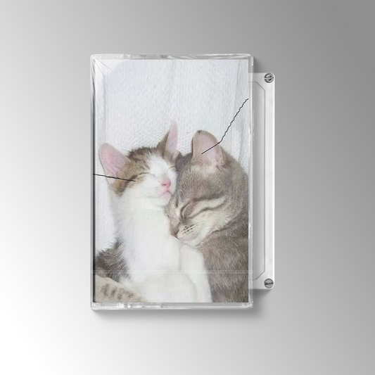 Retail Drugs - i love you so ! (Cassette) *PRE-ORDER*