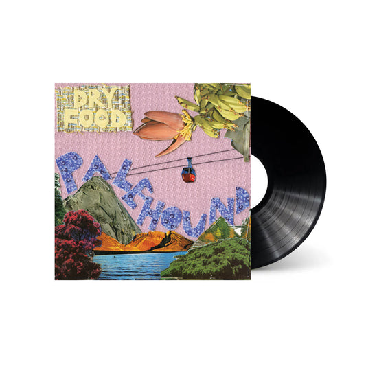 Palehound - Dry Food (Black Vinyl)