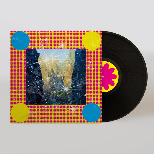 Caribou - Honey (Black Vinyl)