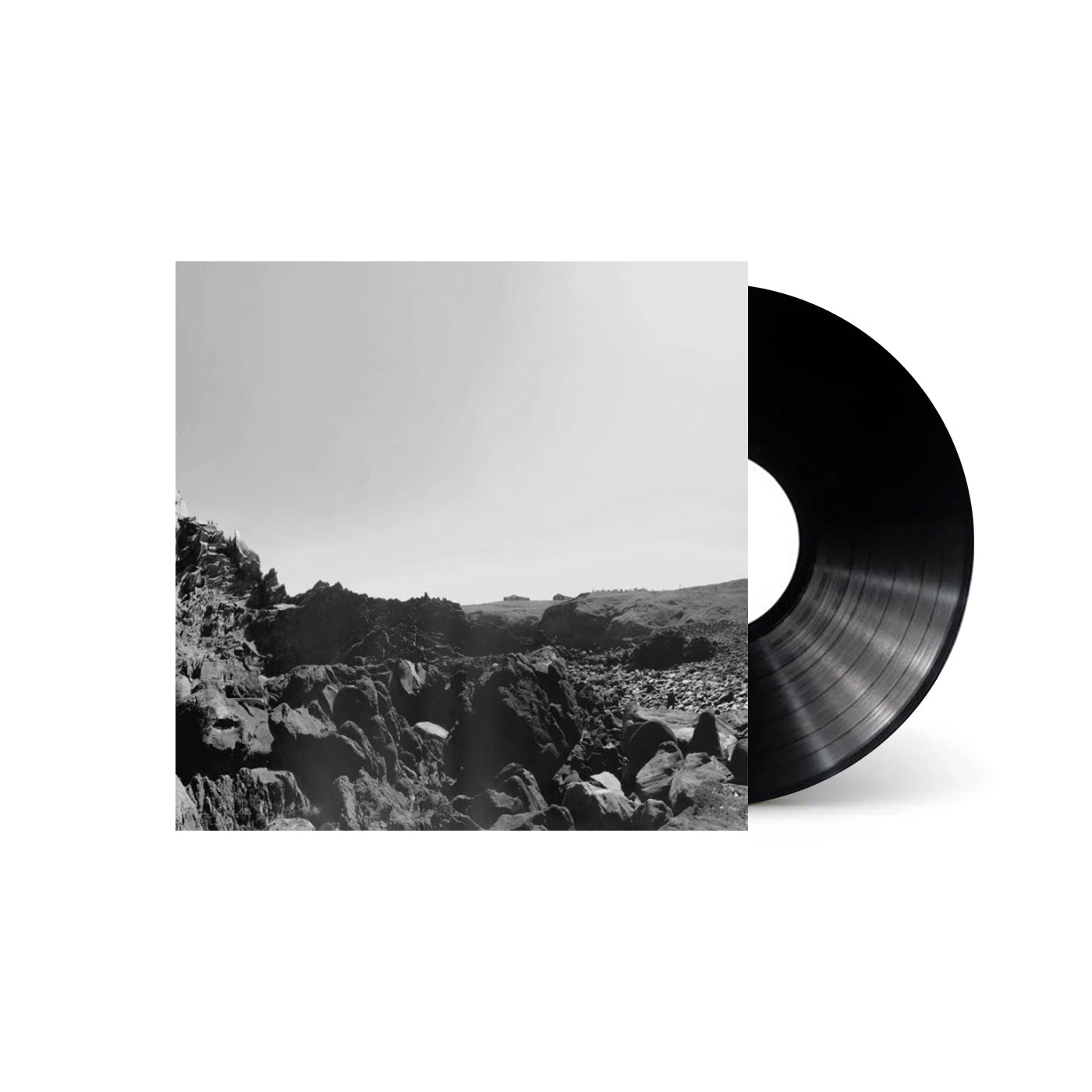 Six Organs Of Admittance - The Veiled Sea (Black Vinyl)