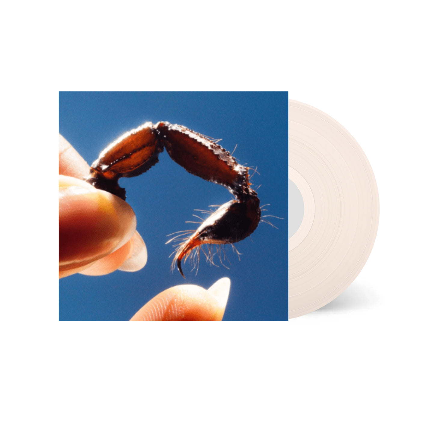 Squid - Cowards (Clear Vinyl)